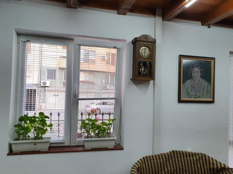 Modern And Old Lodge Sofia Ngoại thất bức ảnh